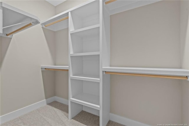 5400 Dowd Rd, West End, NC 27376 - walk in closet with carpet