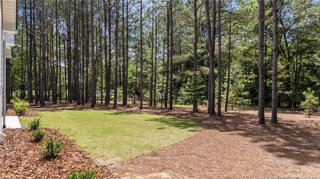 5400 Dowd Rd, West End, NC 27376 - view of grassy yard