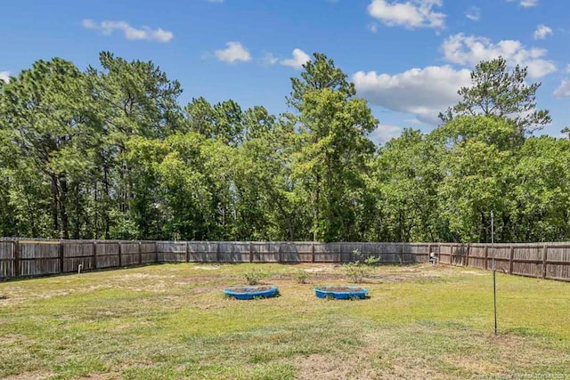 2240 Andalusian Dr, Hope Mills, NC 28348 - view of yard