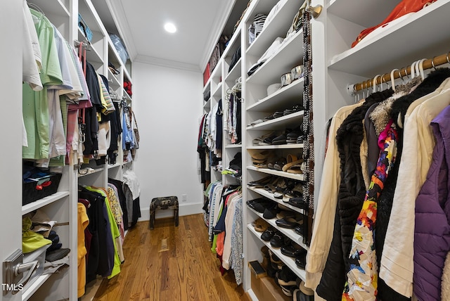 8042 N NC Highway 58, Castalia, NC 27816 - spacious closet featuring wood finished floors