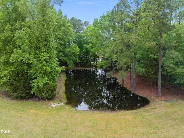 8042 N NC Highway 58, Castalia, NC 27816 - view of green lawn featuring a water view