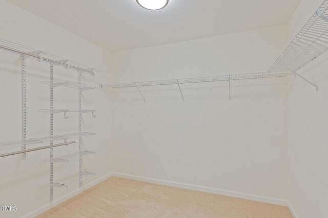 317 Springhurst Ln, Cary, NC 27511 - spacious closet featuring carpet