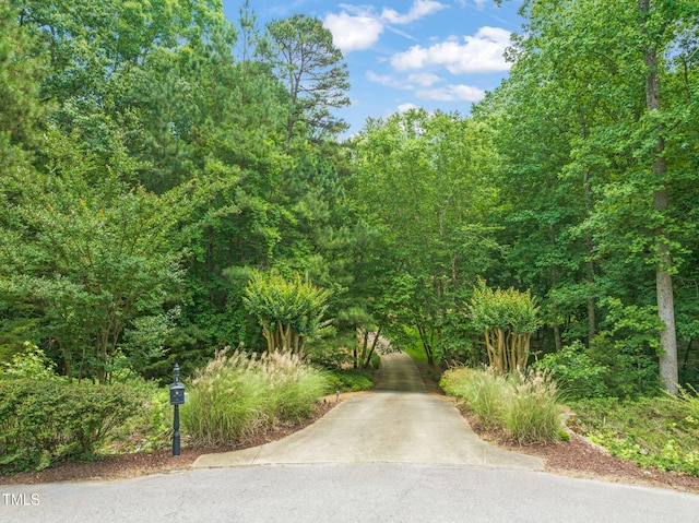 1317 Woodgate Manor Ct, Raleigh, NC 27614 - view of road featuring a wooded view