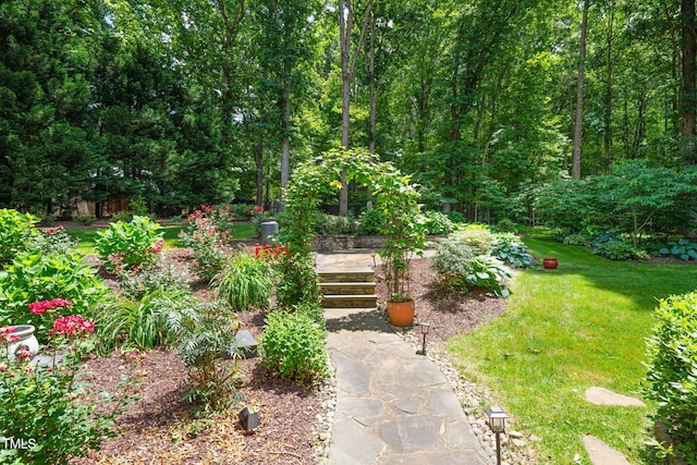 1317 Woodgate Manor Ct, Raleigh, NC 27614 - view of home's community featuring a lawn