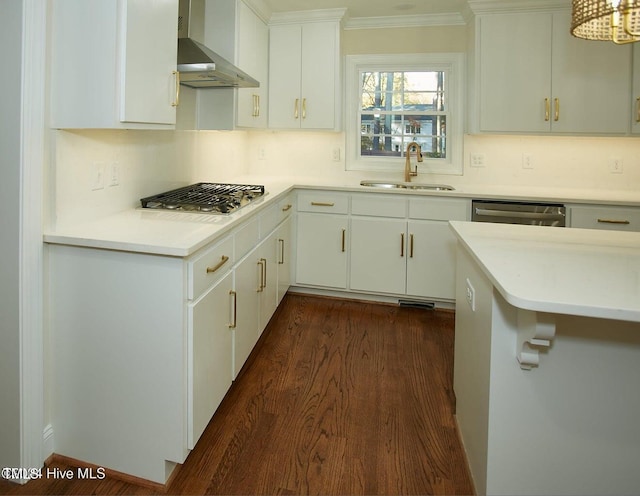 1204 Windemere Pl, Wilson, NC 27893 - kitchen featuring wall chimney exhaust hood, a sink, ornamental molding, stainless steel appliances, and dark wood finished floors
