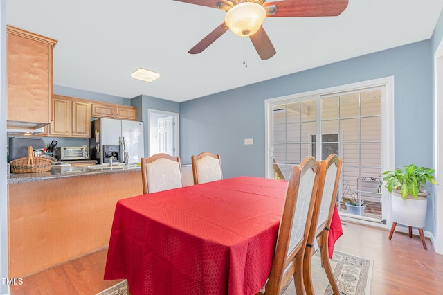 6 N Carolina Ave, Benson, NC 27504 - dining room with light wood-type flooring and a ceiling fan