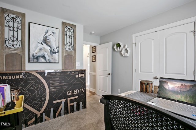 3501 Cranberry Ridge Dr SW, Wilson, NC 27893 - carpeted bedroom with a closet