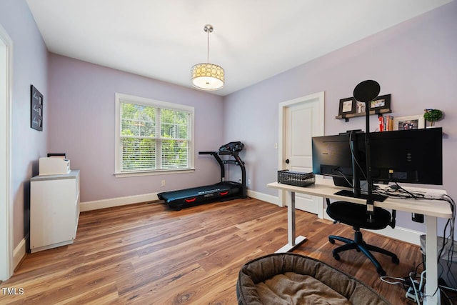 201 Margaret Mann Way, Pittsboro, NC 27312 - office space featuring baseboards and wood finished floors