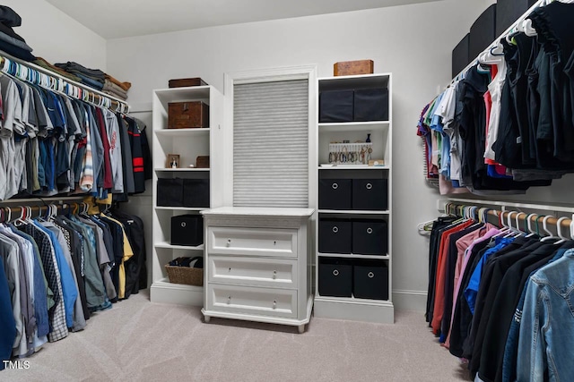 201 Margaret Mann Way, Pittsboro, NC 27312 - spacious closet with carpet floors