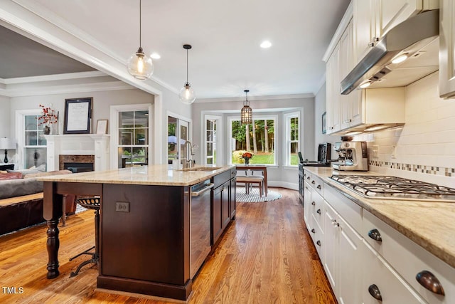 201 Margaret Mann Way, Pittsboro, NC 27312 - kitchen featuring a sink, under cabinet range hood, stainless steel appliances, light wood-type flooring, and white cabinetry