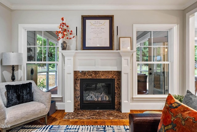 201 Margaret Mann Way, Pittsboro, NC 27312 - living area with wood finished floors, a premium fireplace, and ornamental molding
