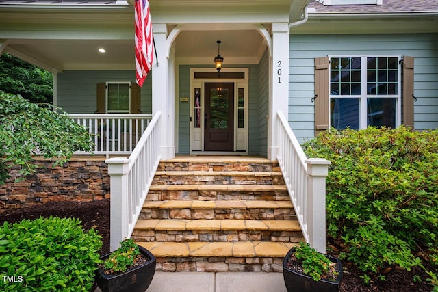 201 Margaret Mann Way, Pittsboro, NC 27312 - view of exterior entry with covered porch