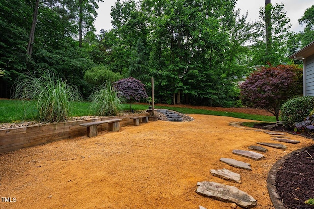 201 Margaret Mann Way, Pittsboro, NC 27312 - view of yard