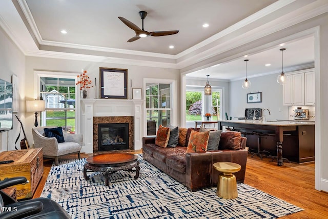 201 Margaret Mann Way, Pittsboro, NC 27312 - living room with plenty of natural light, a ceiling fan, light wood-style floors, a fireplace, and crown molding