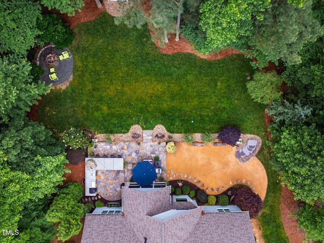 201 Margaret Mann Way, Pittsboro, NC 27312 - bird's eye view