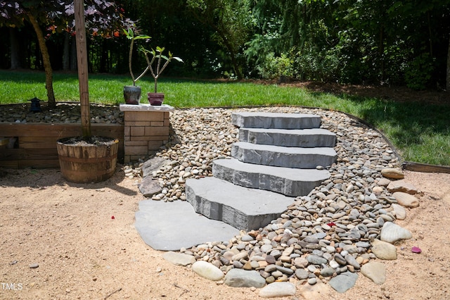 201 Margaret Mann Way, Pittsboro, NC 27312 - view of yard