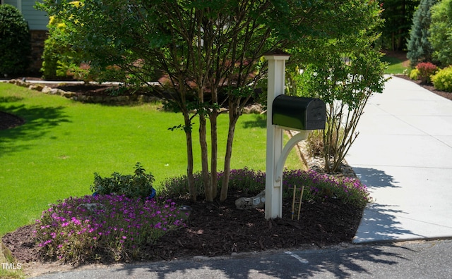 201 Margaret Mann Way, Pittsboro, NC 27312 - exterior view