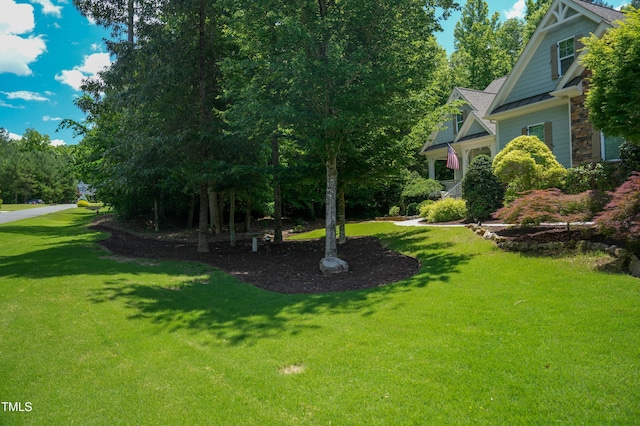 201 Margaret Mann Way, Pittsboro, NC 27312 - view of green lawn