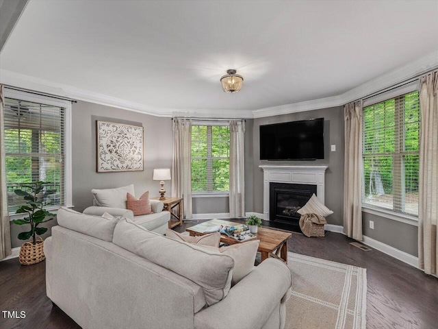 374 Crimson Way, Pittsboro, NC 27312 - living room with crown molding, a glass covered fireplace, baseboards, and dark wood finished floors