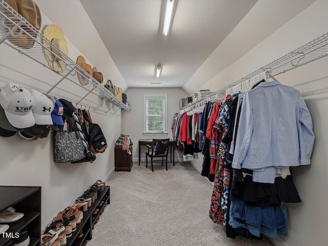 374 Crimson Way, Pittsboro, NC 27312 - spacious closet featuring carpet floors and vaulted ceiling