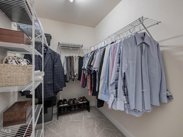 374 Crimson Way, Pittsboro, NC 27312 - walk in closet featuring carpet
