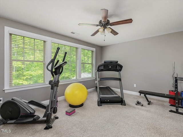 374 Crimson Way, Pittsboro, NC 27312 - workout area with a ceiling fan, baseboards, and carpet
