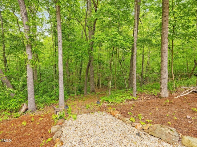 374 Crimson Way, Pittsboro, NC 27312 - view of yard with a view of trees