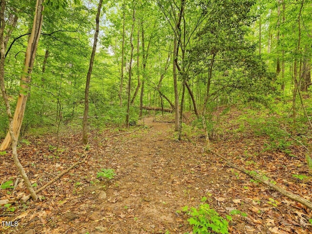 374 Crimson Way, Pittsboro, NC 27312 - view of wooded area