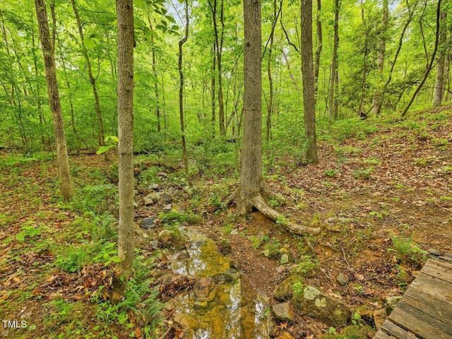 374 Crimson Way, Pittsboro, NC 27312 - view of wooded area