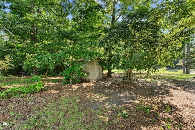 5924 Finish Line Dr, Hope Mills, NC 28348 - view of yard