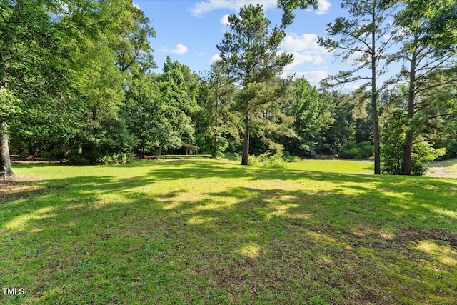 5924 Finish Line Dr, Hope Mills, NC 28348 - view of grassy yard