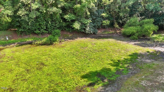 5924 Finish Line Dr, Hope Mills, NC 28348 - view of yard