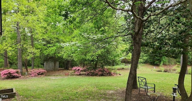 5924 Finish Line Dr, Hope Mills, NC 28348 - view of grassy yard