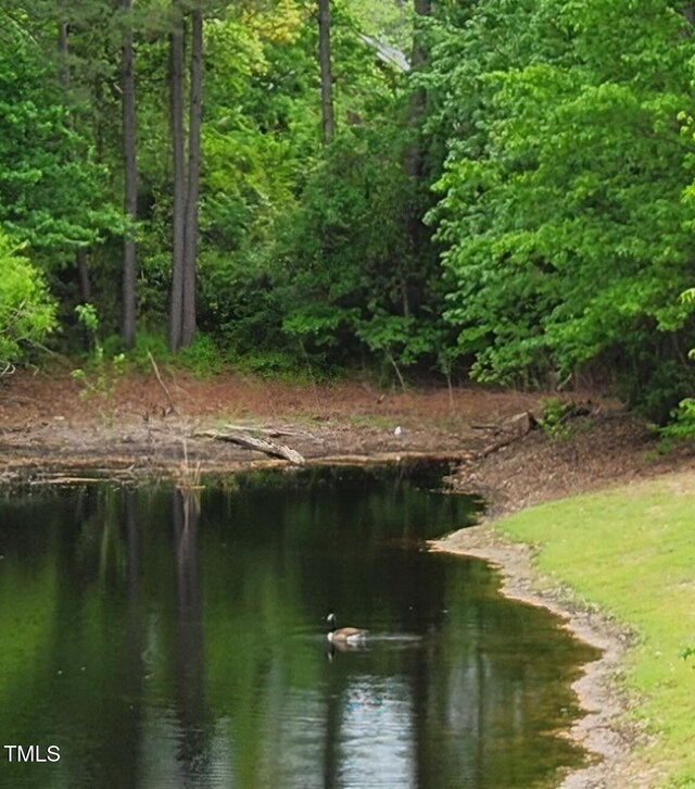 5924 Finish Line Dr, Hope Mills, NC 28348 - water view