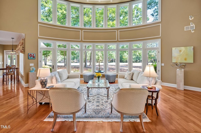 84307 Winslow, Chapel Hill, NC 27517 - living area featuring a towering ceiling and wood finished floors