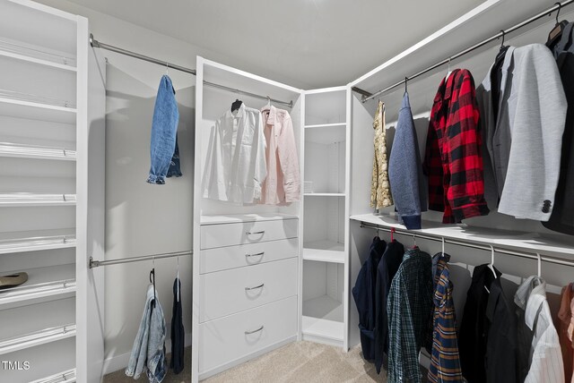 2909 Landon Pines Ct, New Hill, NC 27562 - spacious closet with carpet floors