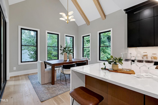 5406 Garrett Rd, Durham, NC 27707 - kitchen featuring dark cabinetry, light wood-style floors, light countertops, healthy amount of natural light, and high vaulted ceiling