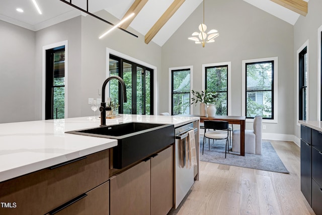 5406 Garrett Rd, Durham, NC 27707 - kitchen with stainless steel dishwasher, light wood-type flooring, pendant lighting, plenty of natural light, and high vaulted ceiling