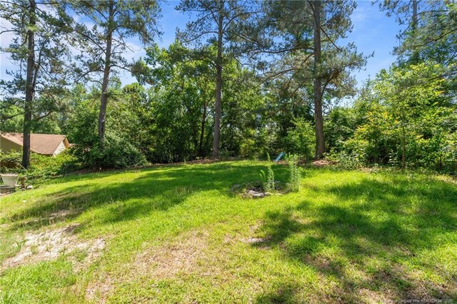 120 Forest Pond Rd, Cameron, NC 28326 - photo 44