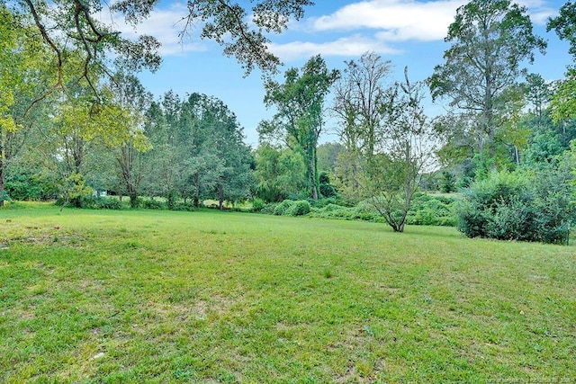 201 N College St, Red Springs, NC 28377 - view of green lawn