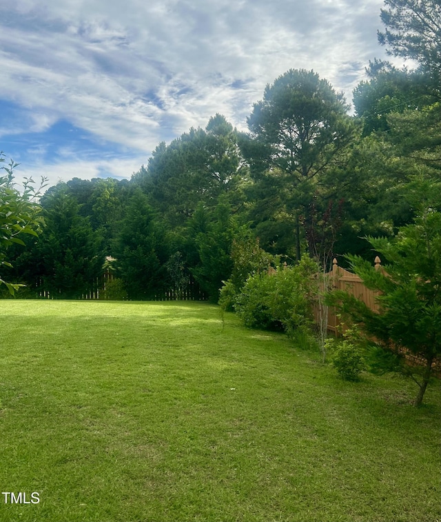 1116 Powder, Fuquay Varina, NC 27526 - view of yard