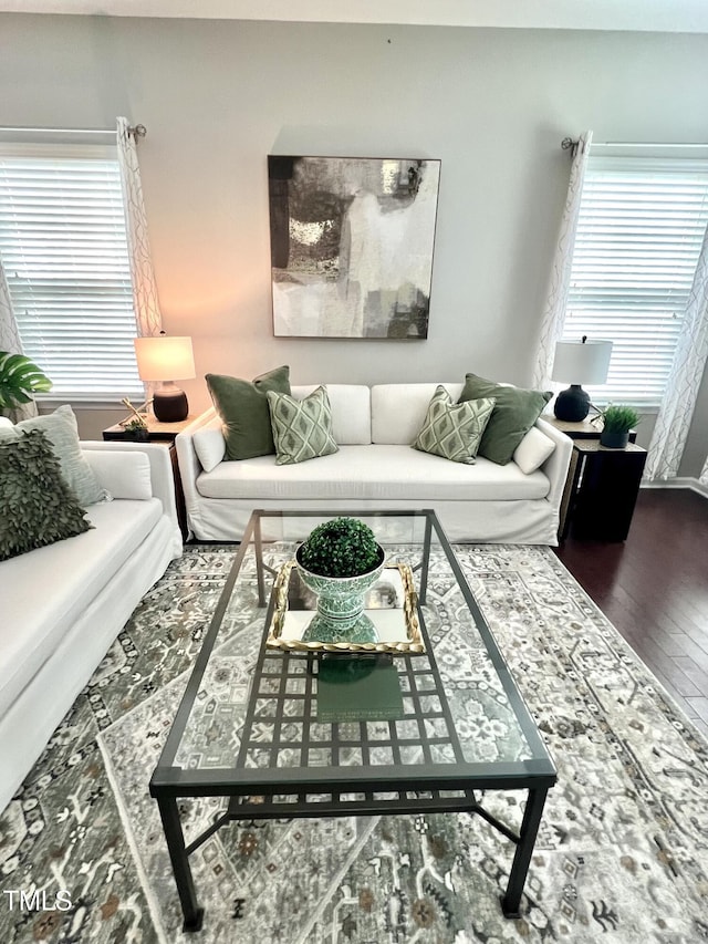 1116 Powder, Fuquay Varina, NC 27526 - living room featuring plenty of natural light and wood finished floors