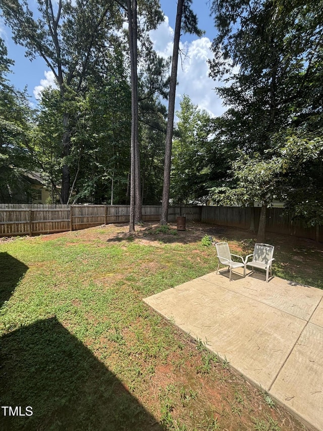 119 Comanche Dr, Louisburg, NC 27549 - photo 48