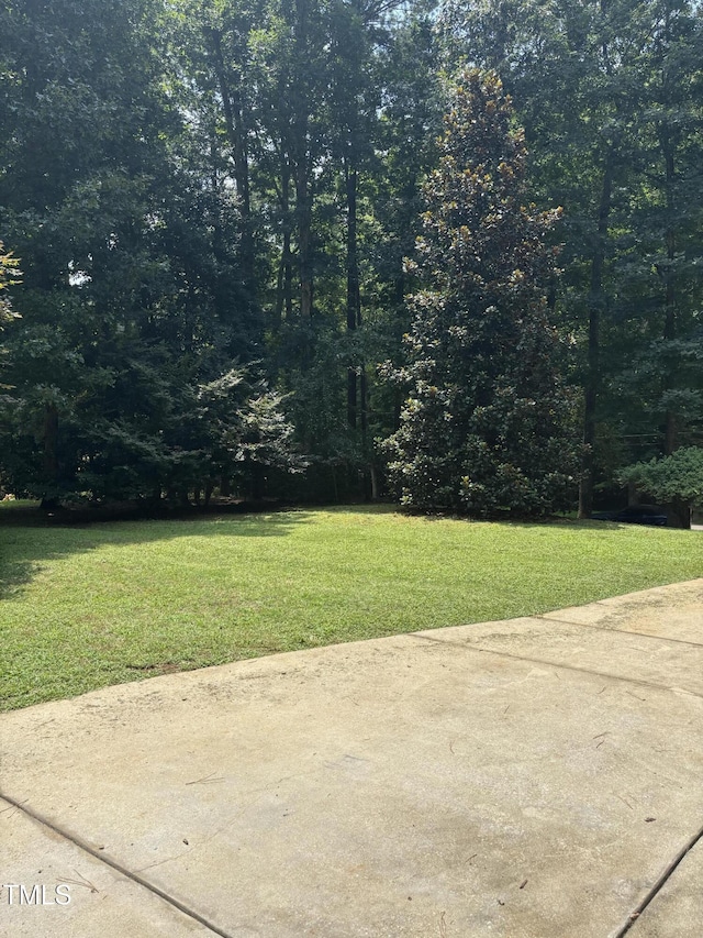 119 Comanche Dr, Louisburg, NC 27549 - photo 10