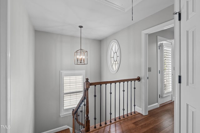 321 Commons Walk Cir, Cary, NC 27519 - hall featuring attic access, wood finished floors, an upstairs landing, and healthy amount of natural light