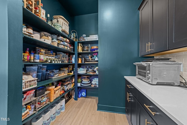 105 Scotland Dr, Youngsville, NC 27596 - view of pantry