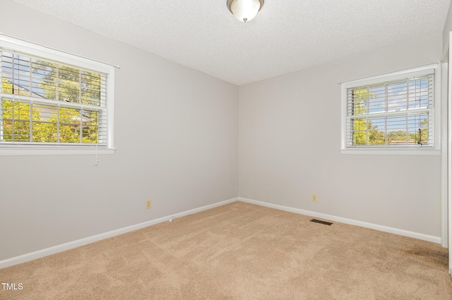 1304 Park Ave, Dunn, NC 28334 - empty room featuring light carpet, healthy amount of natural light, baseboards, and a textured ceiling