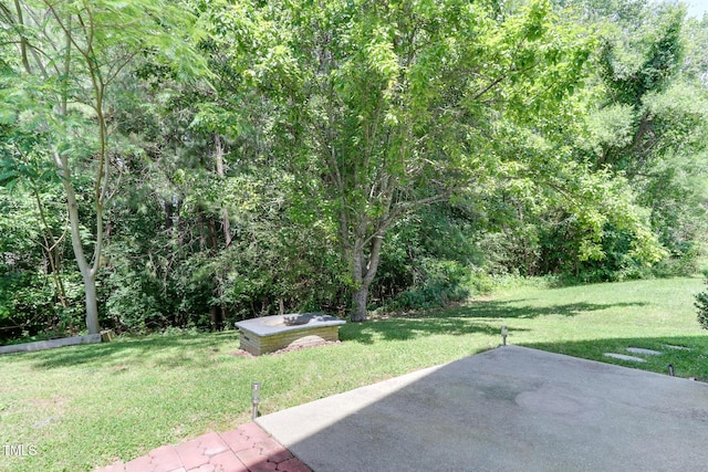 1310 Southgate Dr, Raleigh, NC 27610 - view of grassy yard with a patio