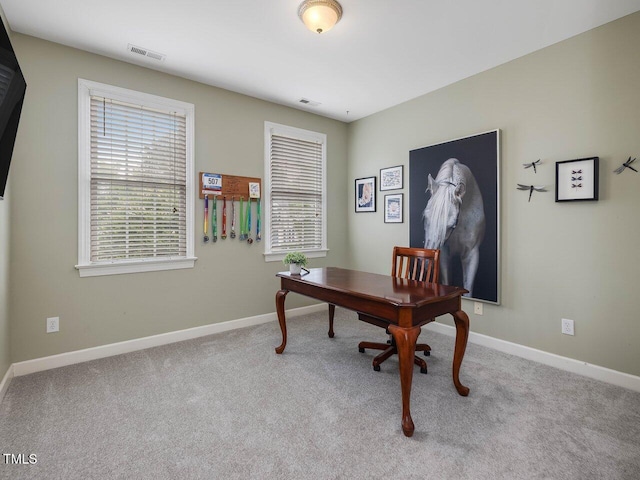 244 Elmcrest Dr, Holly Springs, NC 27540 - photo 21