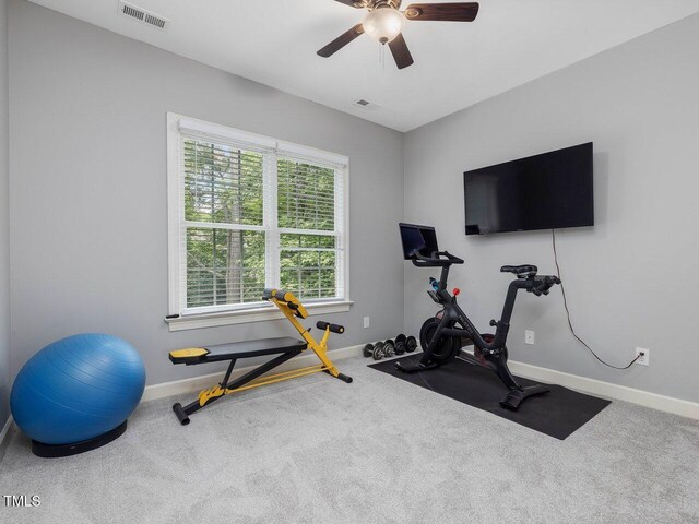 244 Elmcrest Dr, Holly Springs, NC 27540 - photo 20